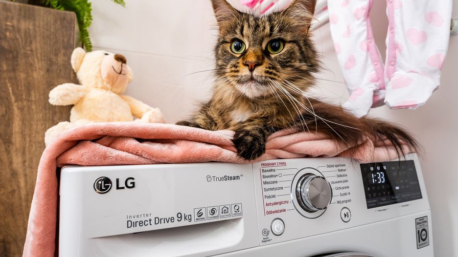 Urządzenia AGD od LG wyposażone są w technologie wykorzystującą parę wodną