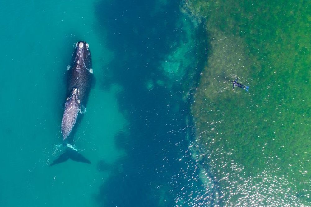 Najlepsze zdjęcia z dronów w 2017 roku według portalu Dronestagram 5