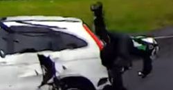 #dziejesiewmoto: wypadek motocyklisty, niedźwiedzia przysługa i złodzieje samochodów