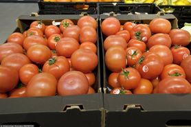 Przebadali pomidory z popularnych marketów. Wskazali niekwestionowanego zwycięzcę
