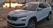 Skoda Kodiaq - jak jeździ najnowszy czeski SUV?