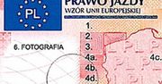 Wymiana praw jazdy na dokumenty o 15-letniej ważności jest konstytucyjna