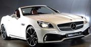 Wald International Mercedes-Benz SLK Black Bison (2014)