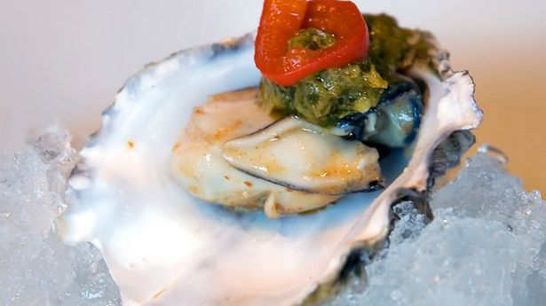 Odkryto prehistoryczną ostrygę. Czy znajdziemy w niej gigantyczną perłę? 1