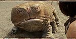 ''John Carter'': Wpływy kulturowe i nowe sceny w specjalnym klipie [wideo]
