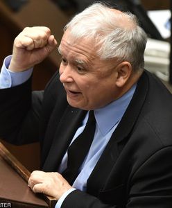 Paweł Lisicki: Udana prowokacja opozycji. Rozjuszony prezes Kaczyński