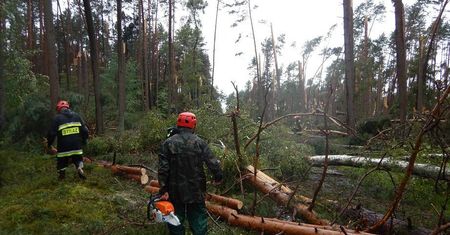 Lubelscy strażacy pomagają w usuwaniu skutków wichur na Pomorzu
