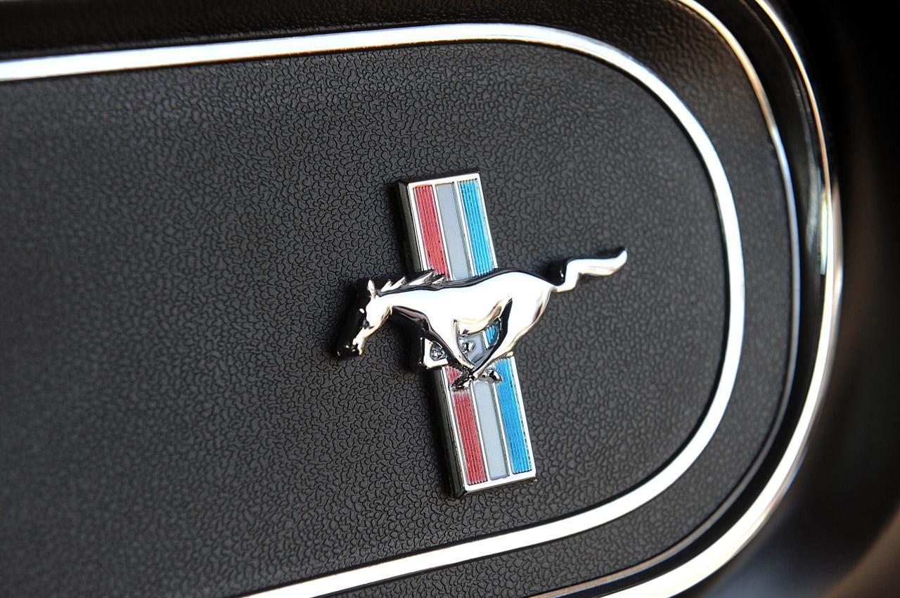 Classic Recreations 1966 Shelby GT350CR na efektownych zdjęciach [galeria] 34