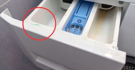 Znajduje się w każdej pralce. Nie każdy wie, co oznacza "II" w szufladzie