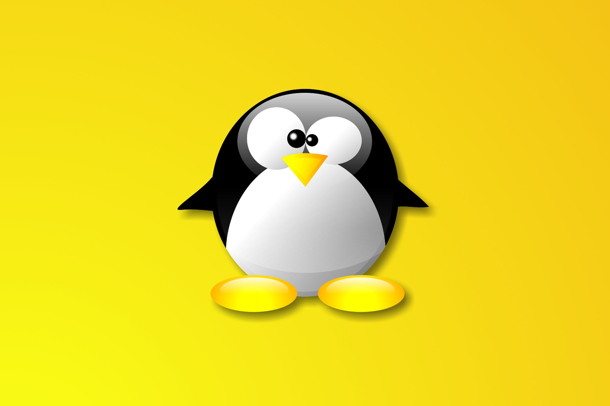 CC-BY-SA Felipe Micaroni Lalli