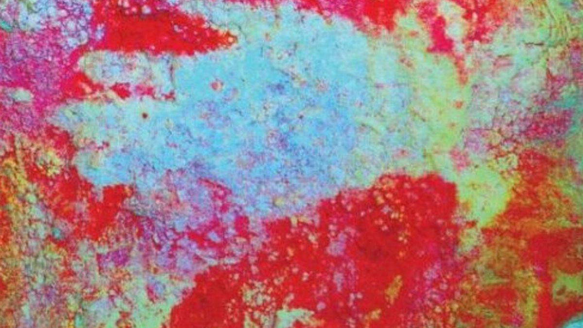 Malowidła neandertalczyków