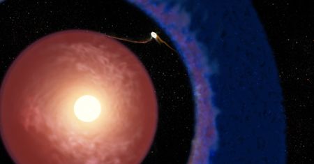 Elias 2–24 b ma mniej niż milion lat. Astronomowie potwierdzili rekord