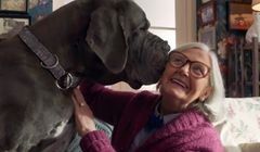 „Plan na szczęście”- Provident reklamuje pożyczkę internetową (wideo)