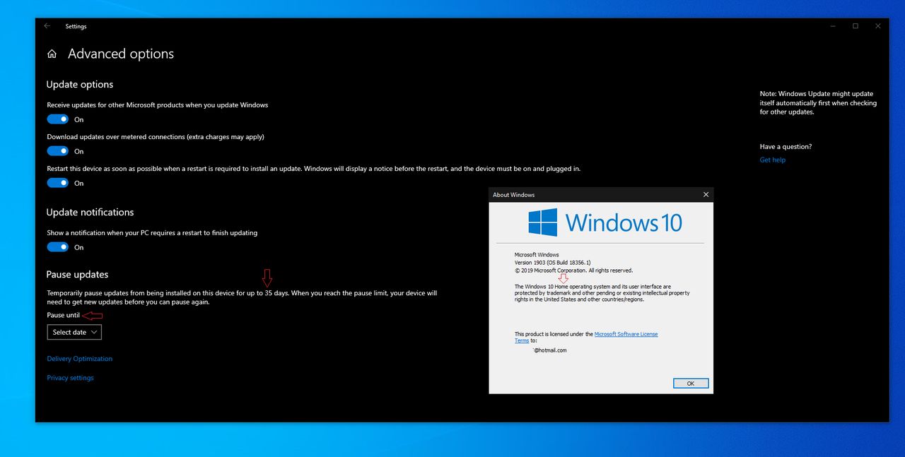 Ustawienia aktualizacji Windows 10 19H1, źródło: reddit.