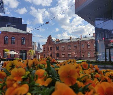 Startuje Klimatyczna Wiosna Konesera, czyli kilkadziesiąt bezpłatnych ekowydarzeń w Centrum Praskim Koneser
