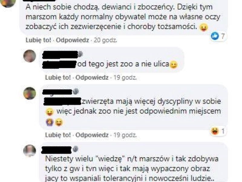 Jeden z wpisów w grupie "Straż Narodowa"