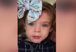 Ciało pod płotem. Tragiczny finał poszukiwań czterolatki