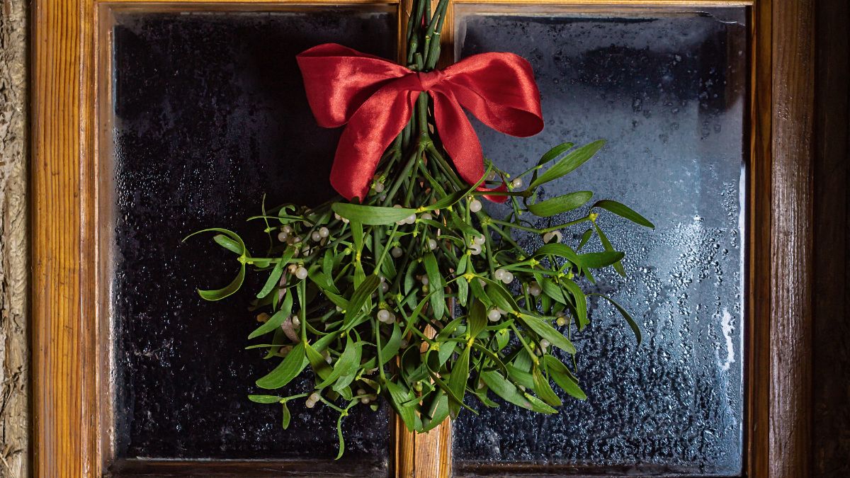 Jemioła na drzwiach.