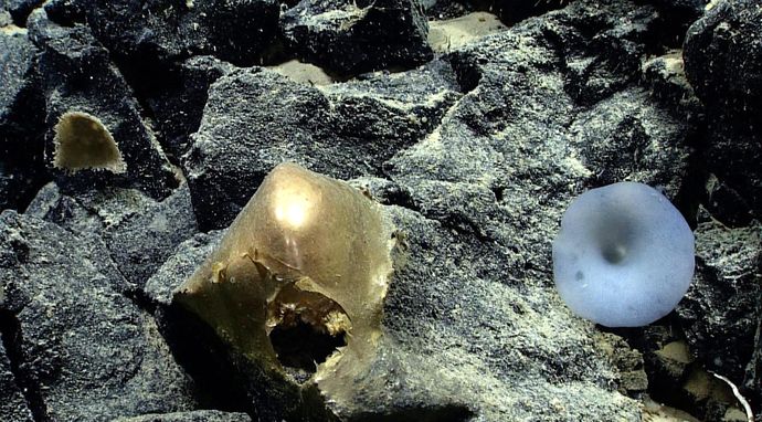 Jak to wyjaśnić? 5