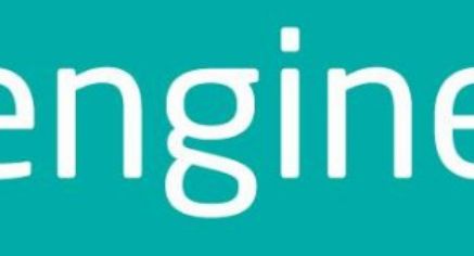 Engine wiodącą agencją MINI Polska