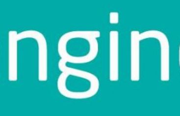 Engine wiodącą agencją MINI Polska