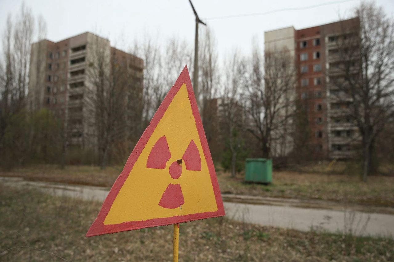 Unexpected discovery in Chernobyl