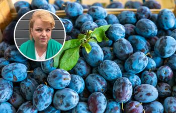 Bosacka porównała śliwki z energetykami. "Poprawiają nam nastrój"