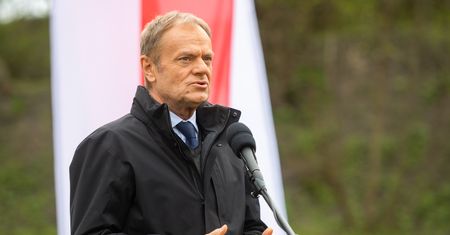 Nowy plan Nowogrodzkiej na Tuska? Fogiel jednoznacznie