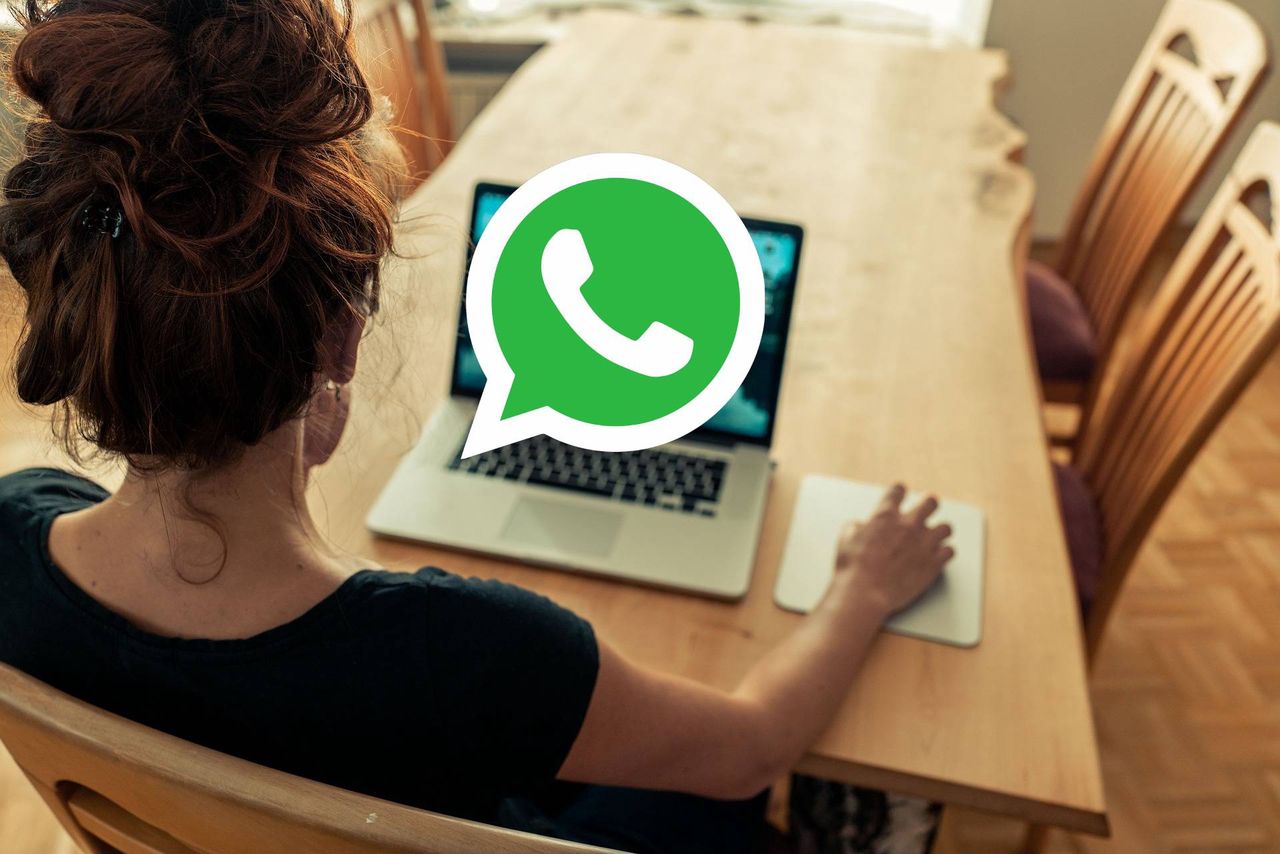 WhatsApp on computer. New feature already available.