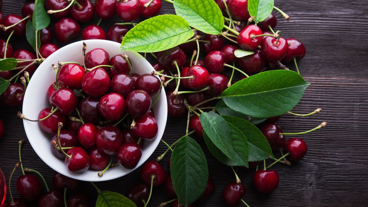 Szypułki czereśni - jeść czy nie jeść?