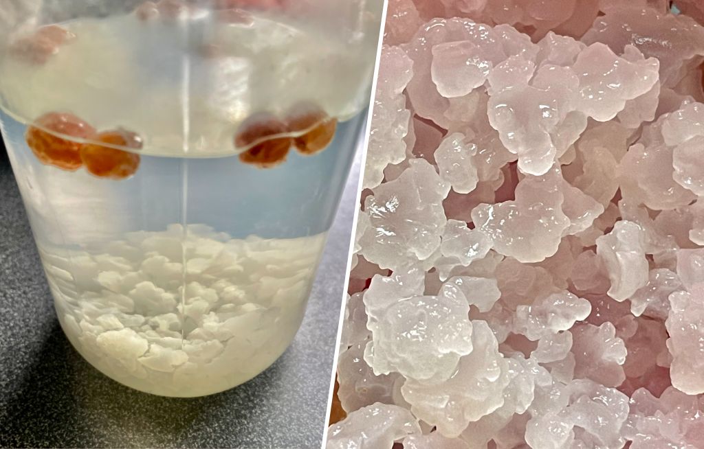 Kefir wodny. Napój mocy i żywy probiotyk, który wraca do łask