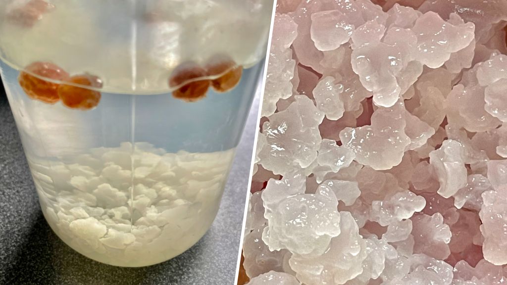 Kefir wodny. Napój mocy i żywy probiotyk, który wraca do łask