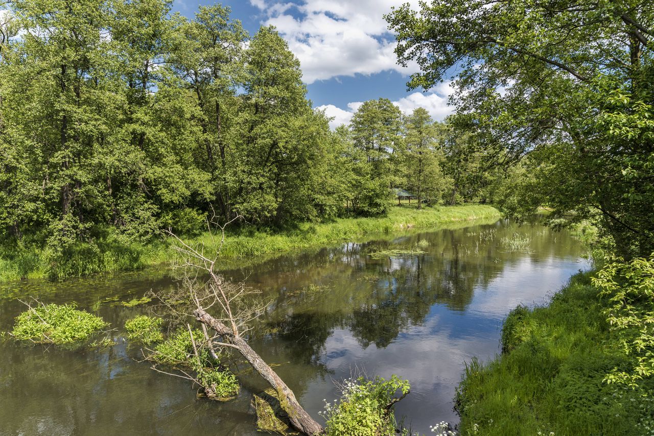 Nowa Sól: Operacja Czysta Odra. Posprzątają teren nad rzeką