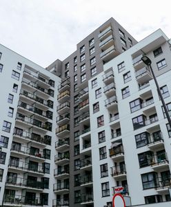 Zamurowali szczury i jajka. Prokuratura ściga budowlańców