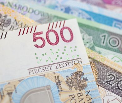 800 plus a zdolność kredytowa. Oto na jakie mieszkania stać teraz Polaków