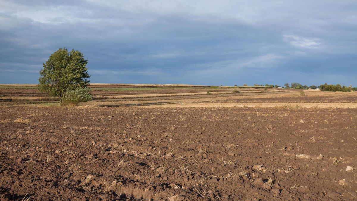 Polska sucha jak Afryka