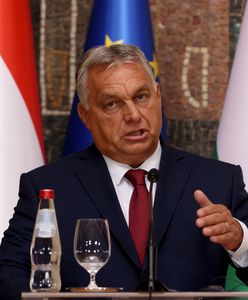 Orban zabrał głos. "Nie chcemy być pionkami"