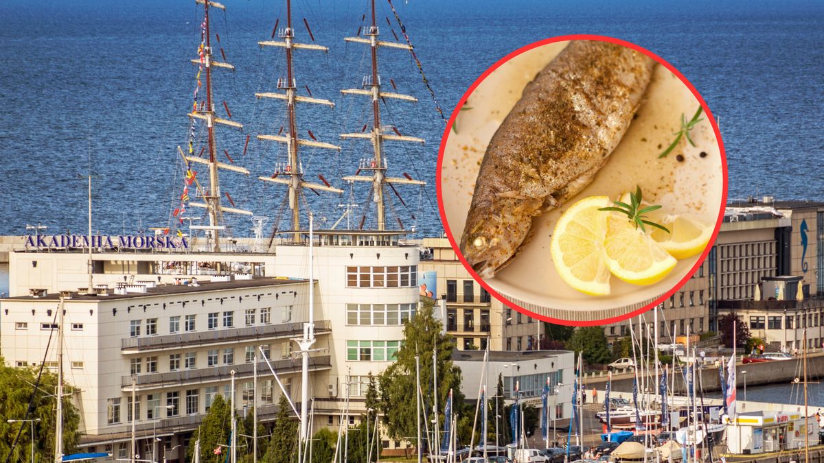 Zdjęcie jest ilustracją 