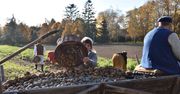 Wykopki w Muzeum Wsi Mazowieckiej w Sierpcu!