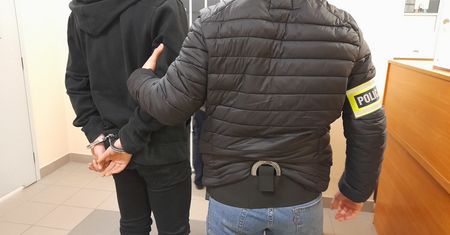Zrozumiał, że go rozpoznali. Tak zareagował. Akcja policji w Małopolsce