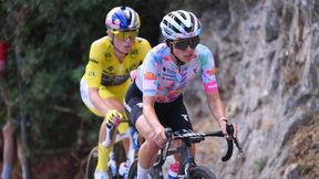 "Dlatego mnie poniosło". Niewiadoma wyjaśniła, co się stało w Tour de France
