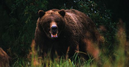 Dramatyczne zdarzenia na Podkarpaciu. Nie żyje kobieta