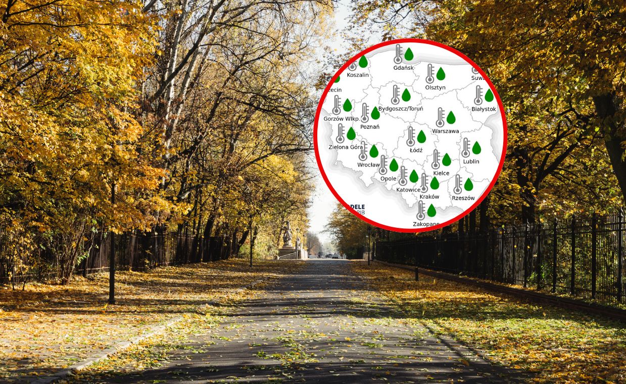 Prognoza pogody do końca roku. W listopadzie przymrozki