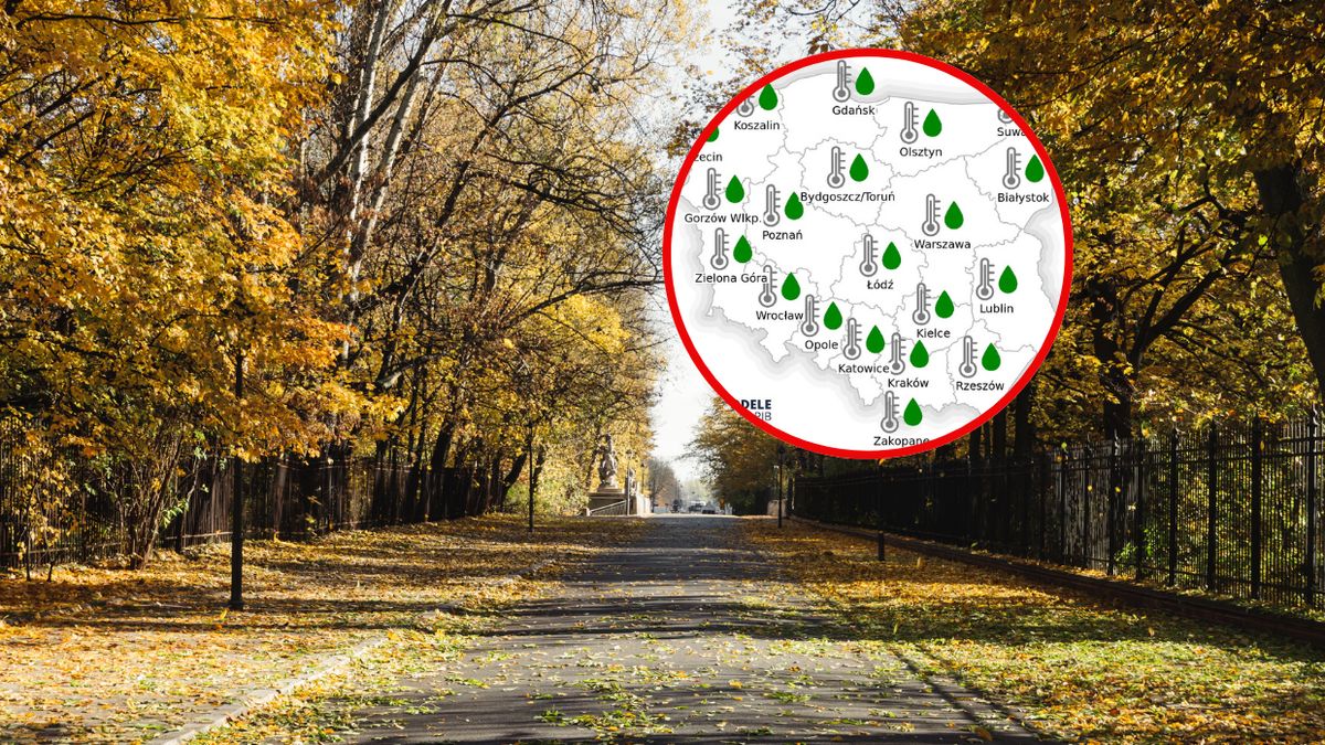 Pogoda do końca roku