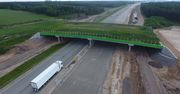 Budowa Autostrady Bursztynowej na finiszu. GDDKiA czekają jednak dodatkowe wydatki