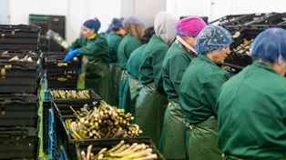 Holendrzy rozczarowani. Chodzi o Polaków. "Zostawili nas na lodzie"