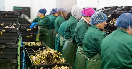 Holendrzy rozczarowani. Chodzi o Polaków. "Zostawili nas na lodzie"