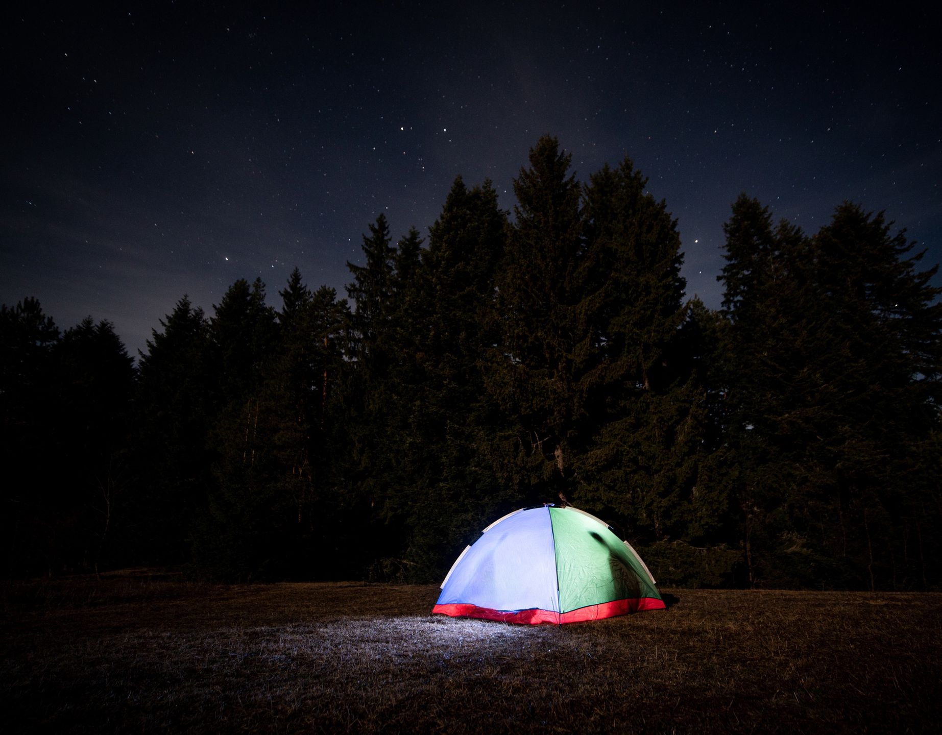 Podczas noclegu w lesie należy pamiętać, że nie jesteśmy tam sami