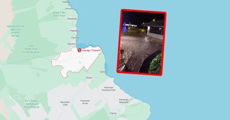 Uderzenie fali tsunami. Pojawiło się nagranie z Hilo