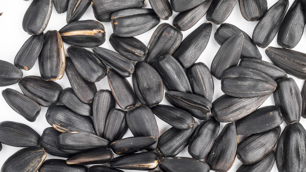 Ziarna słonecznika opiekane z dodatkiem soli